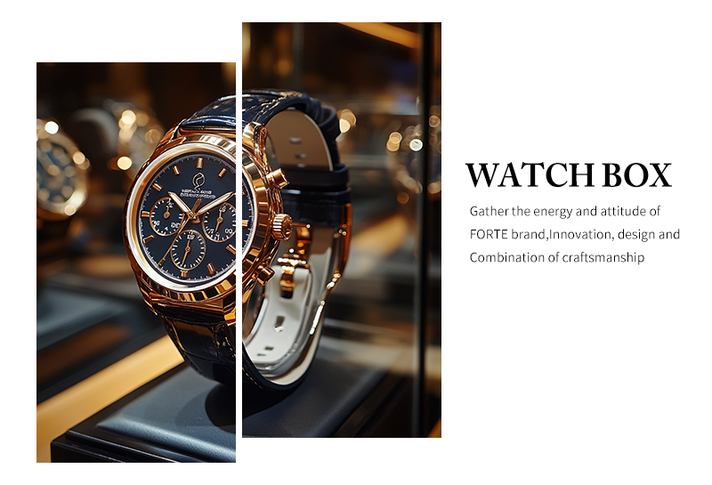 WPP023 Tailored Watch Box